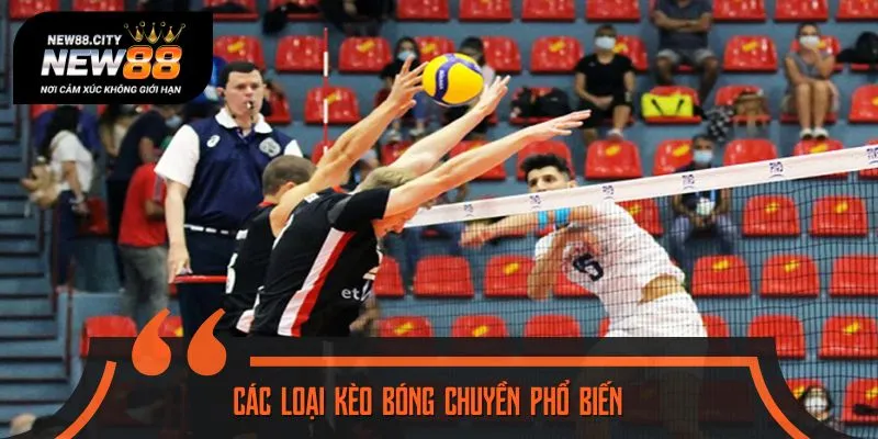 Khám phá ngay những hình thức cá cược bóng chuyền Hot nhất