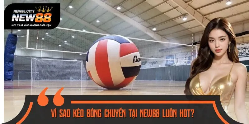 Cá cược bóng chuyền luôn là lựa chọn được yêu thích