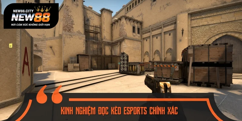 Mách nhỏ bí quyết cược esports bất bại từ dân chuyên