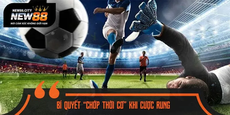 Đặt cược kèo rung bất bại nhờ bí quyết đỉnh cao 